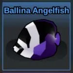 Fish It Ballina Angelfish