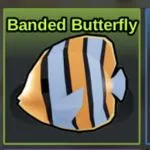 Fish It Banded Butterfly