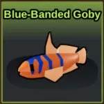Fish It Blue-Banded Goby