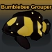 Fish It Bumblebee Grouper