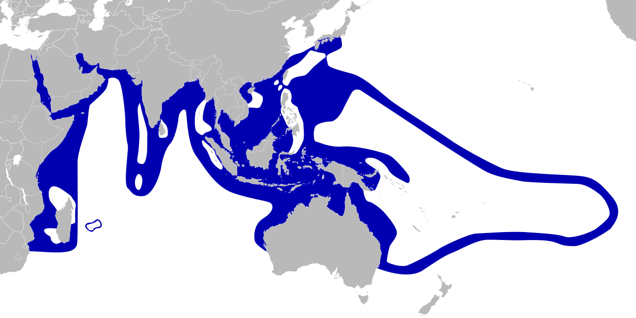 Fisherman Island map showing Clownfish hotspots