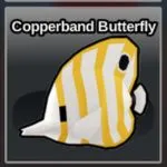 Fish It Copperband Butterfly