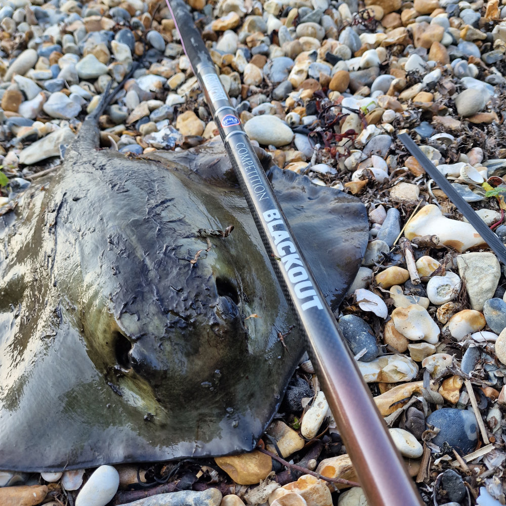 High luck fishing rod and bait selection in Fish It