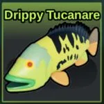 Fish It Drippy Tucanare