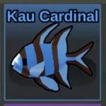 Fish It Kau Cardinal
