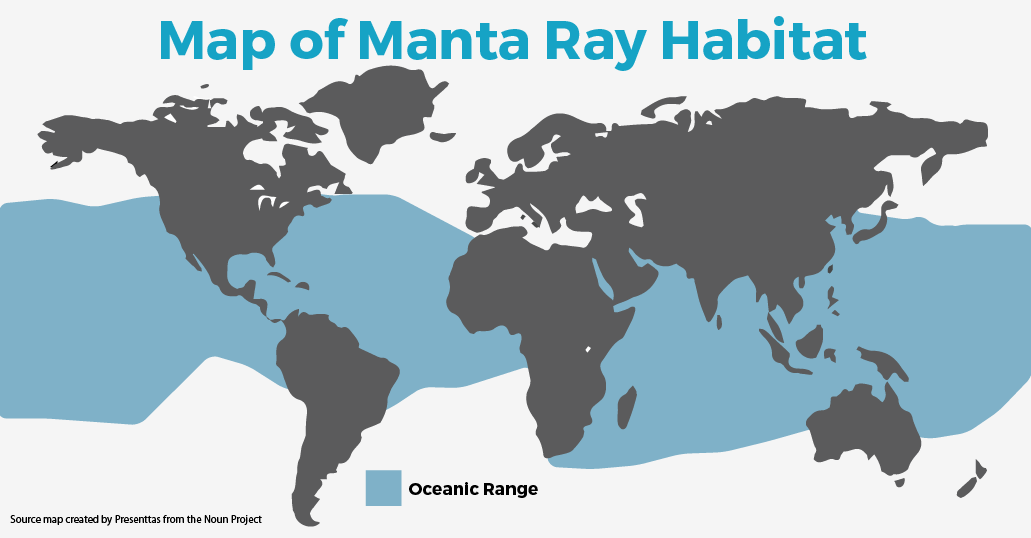Deep ocean zone map showing Manta Ray spawning locations