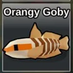 Fish It Orangy Goby