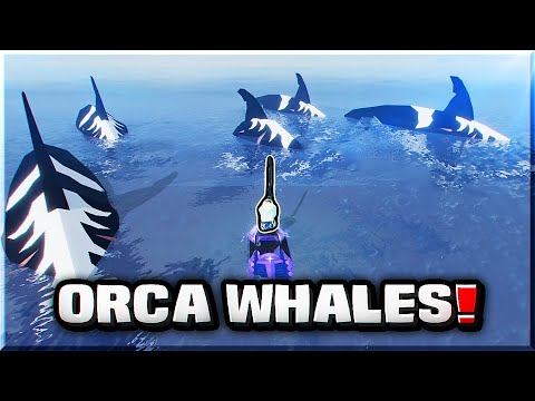 Fish It Orca