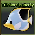 Fish It Tricolore Butterfly